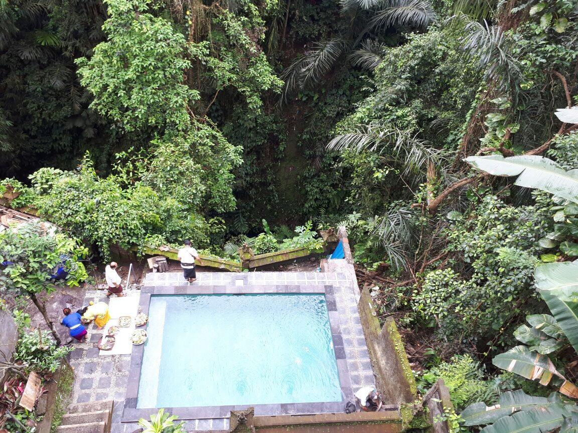 Anggrek Mas Bed & Breakfast Pansiyon Ubud Dış mekan fotoğraf